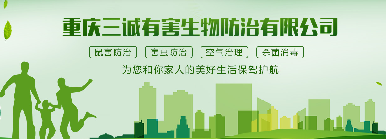 白蟻對(duì)人有沒(méi)有危害,會(huì)不會(huì)咬人