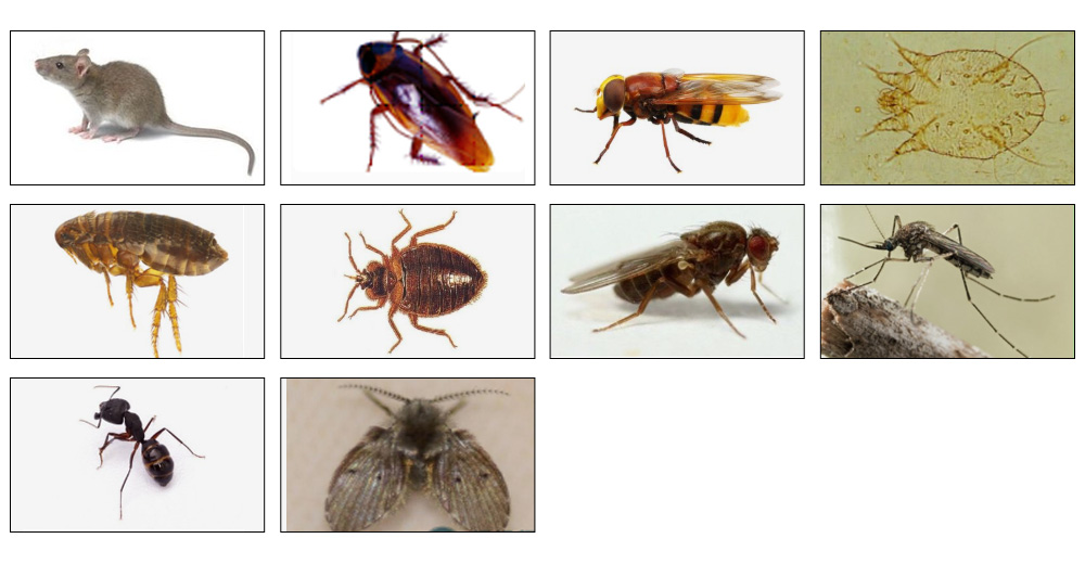 1610525401680547.jpg 043.jpg